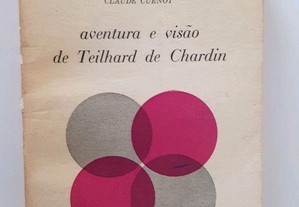 Aventura e visão de Teilhard de Chardin