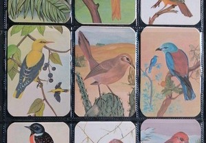 Coleção completa de 15 calendários com pássaros uma edição Disvenda 1985/86