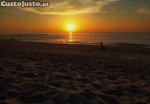 imagem_16