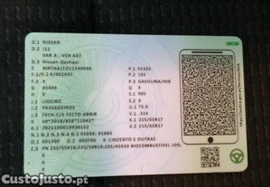imagem_21