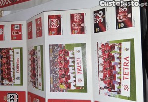 imagem_7
