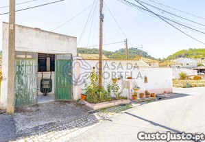 imagem_11