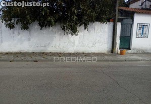 imagem_13