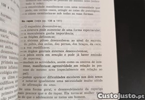 imagem_7