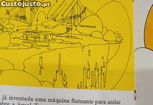 imagem_4