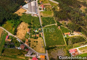 Terreno, Acesso Betuminoso, Viabilidade...