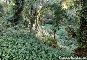 Terreno Rustico Com 1490M2, Em Gondomar, Porto
