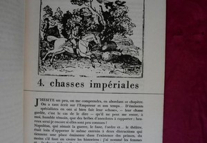 imagem_7