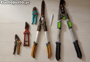 imagem_1