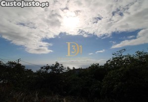 imagem_26