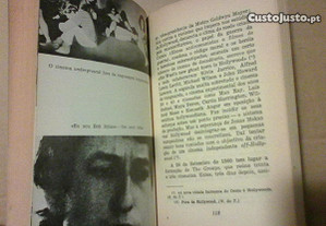 imagem_7
