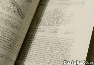 imagem_9