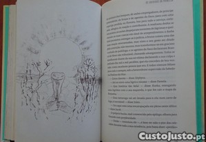 imagem_7