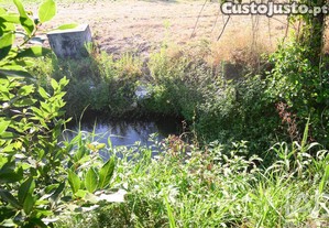 imagem_38