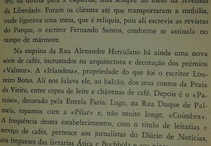 imagem_6