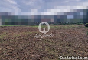 imagem_12
