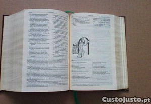 imagem_5