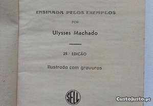imagem_2