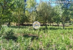 imagem_28