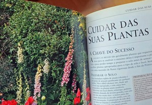 imagem_7