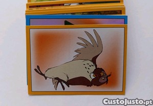 imagem_4