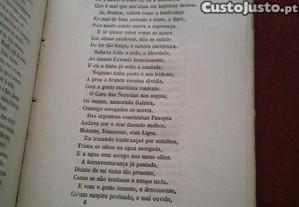 imagem_4