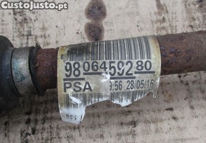 imagem_4