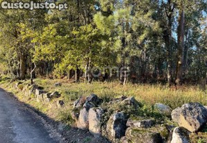 Terreno Rústico Plano Com 38.100M² Em Vila De...