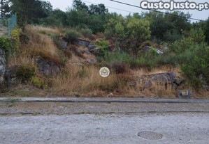 imagem_13