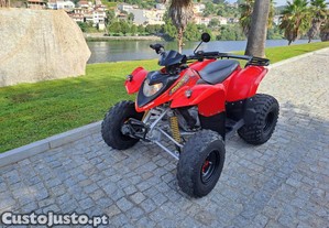 Polaris Phoenix 200