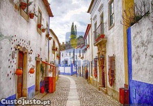 imagem_14