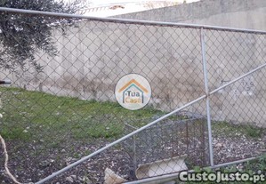 imagem_16
