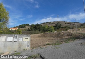 imagem_6