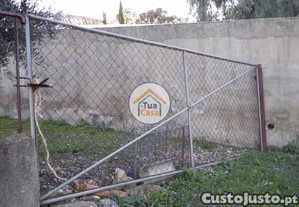 imagem_14