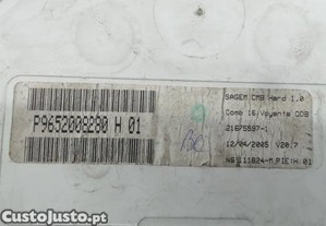 imagem_3