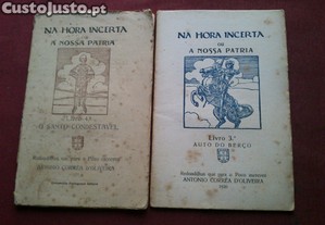 imagem_3