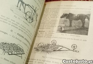 imagem_7