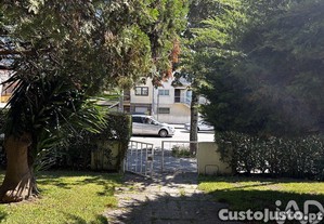 imagem_25