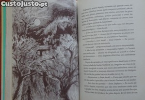 imagem_6