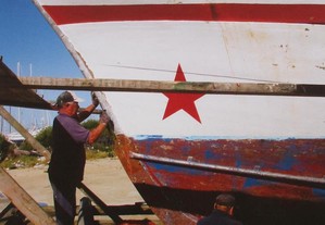 imagem_6