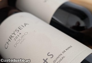 imagem_6