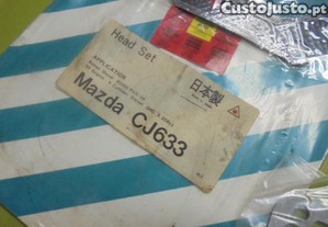 imagem_2