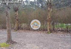 imagem_18