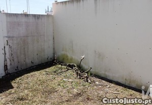 imagem_12