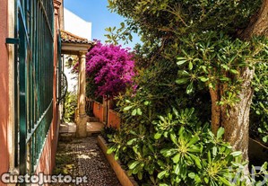 imagem_22