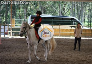 imagem_12