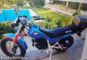 imagem_1