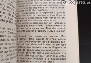 imagem_8