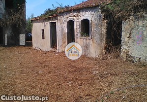imagem_14