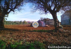 imagem_7